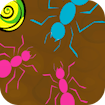 Ant Maze